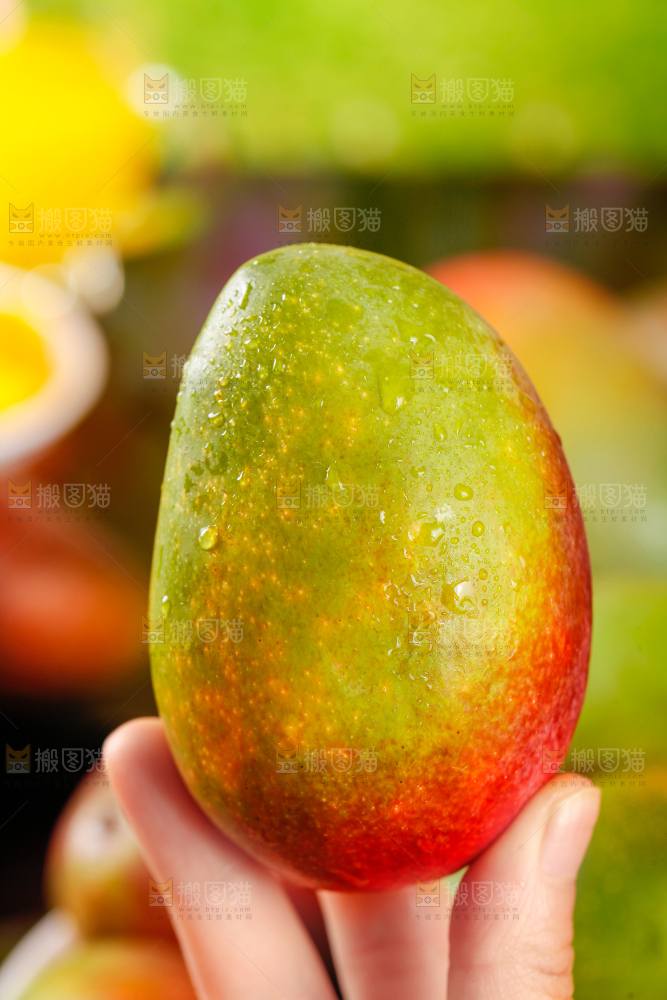 手里拿着新鲜芒果