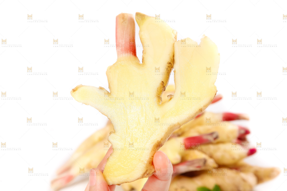 白底上的红芽姜