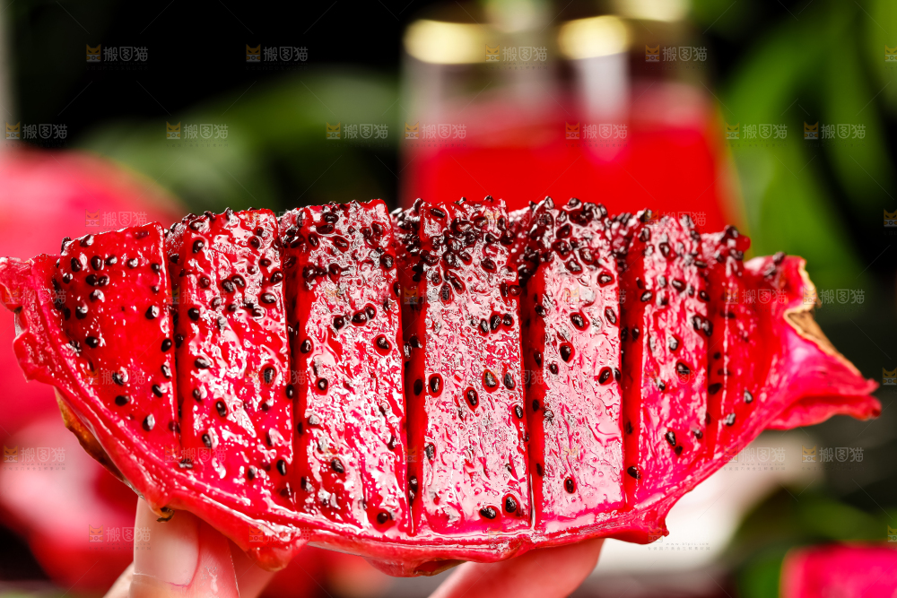 深底上的金都一号红心火龙果