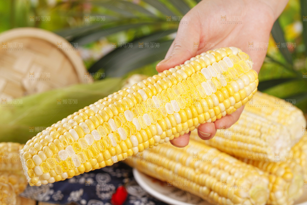 手里拿着水果玉米