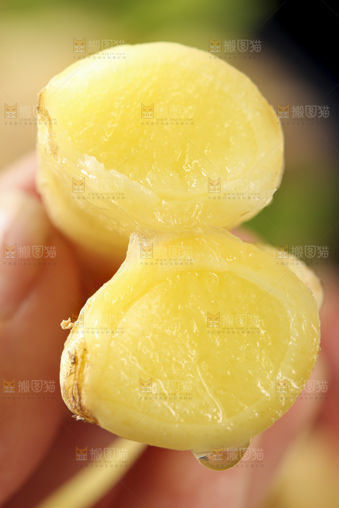 手里拿着红芽姜