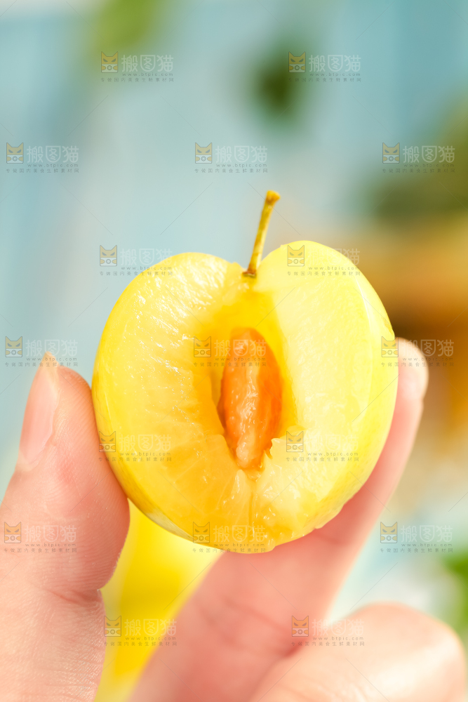 手里拿着新鲜黄金奈李