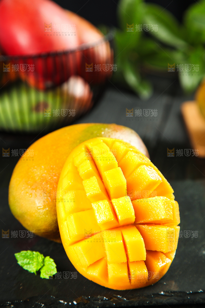 黑石板上的四川吉禄芒