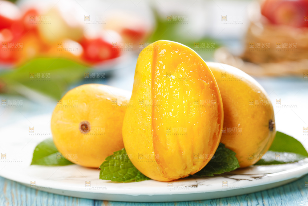 石板上的海南小台芒