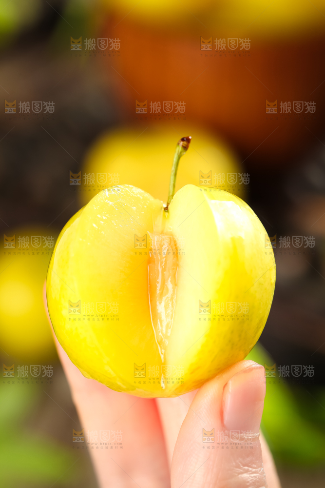 手里拿着黄金奈李