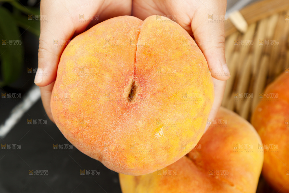 手里拿着陕西毛蟠桃