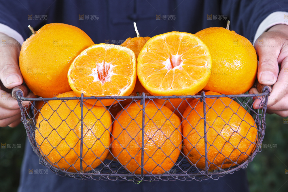 草地上放着一筐四川春见耙耙柑