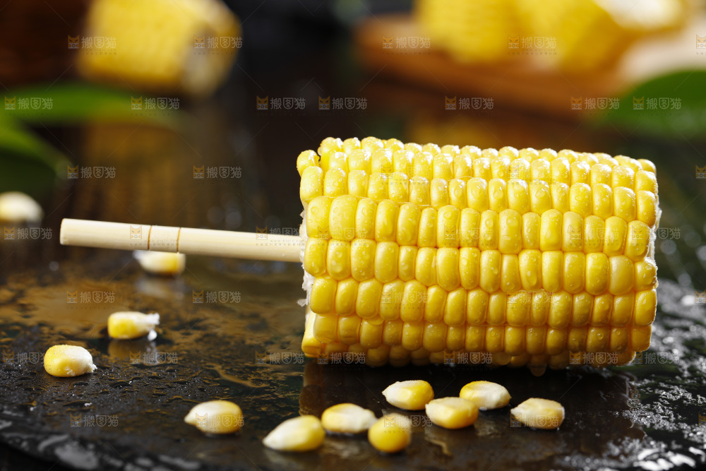 黑石板上的东北玉米