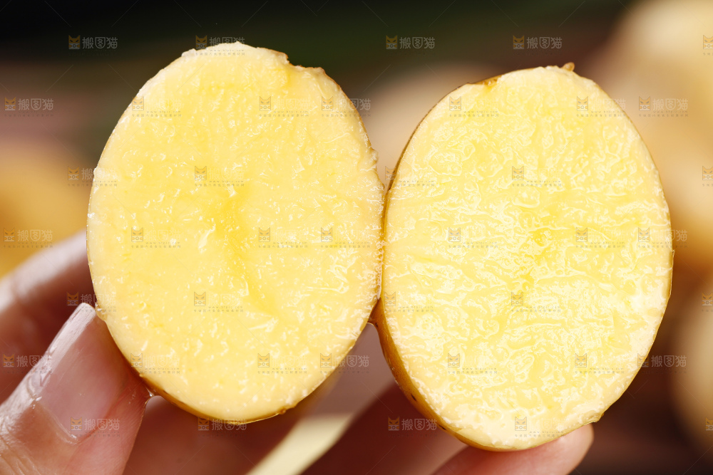 手里拿着迷你小土豆