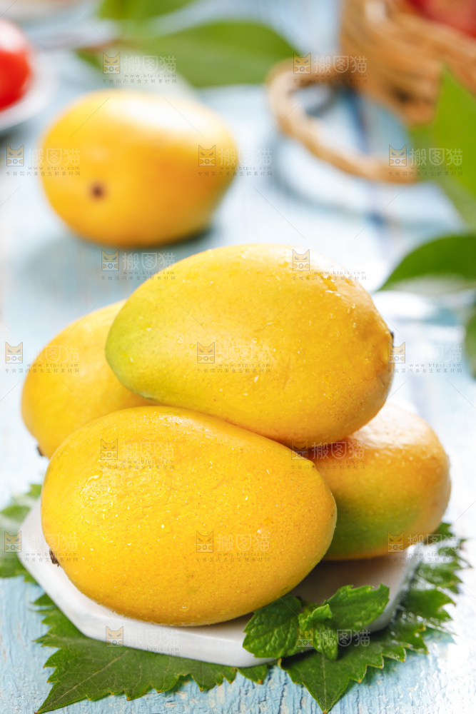 石板上的海南小台芒