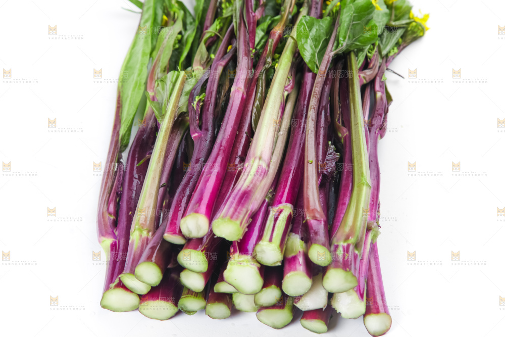 白底上的紫菜苔