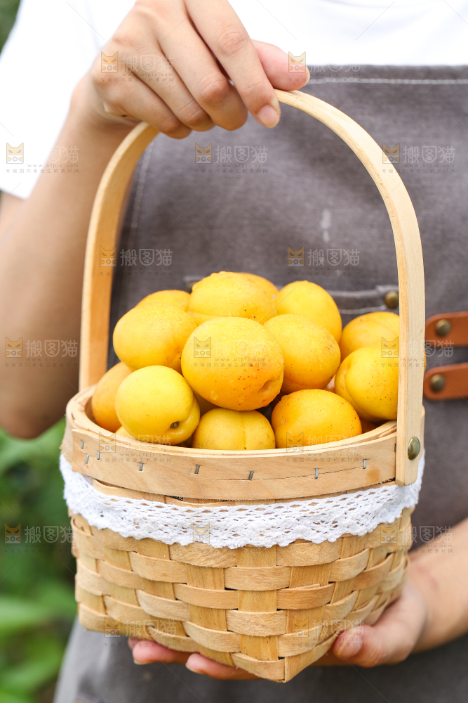 手里拿着一篮库车小白杏