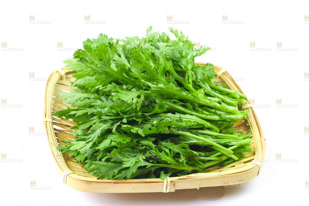 白底上的蓬蒿菜