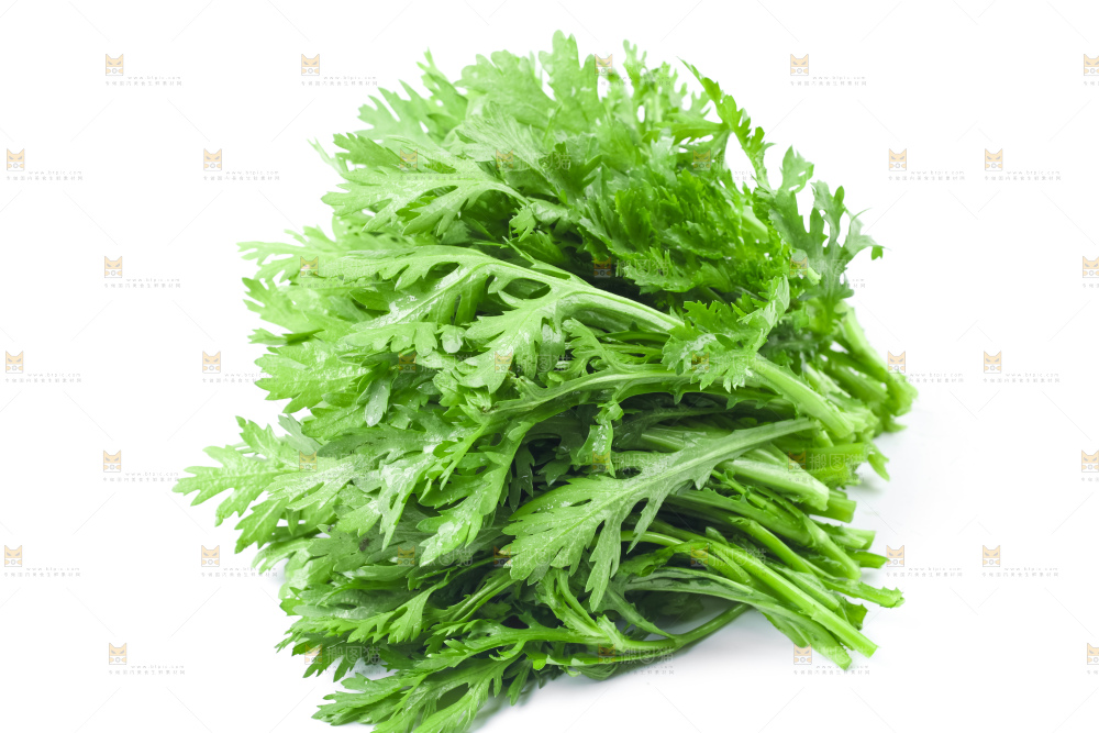 白底上的蓬蒿菜