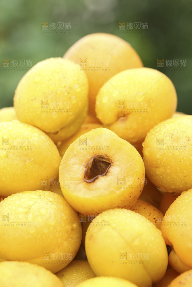 堆放着一堆的小白杏
