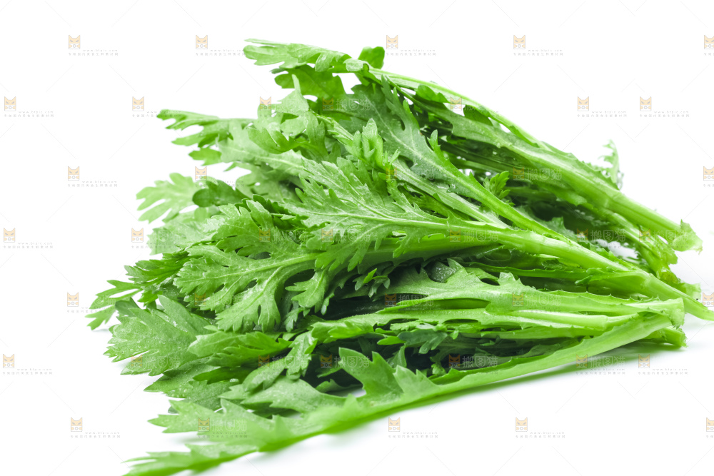 白底上的蓬蒿菜