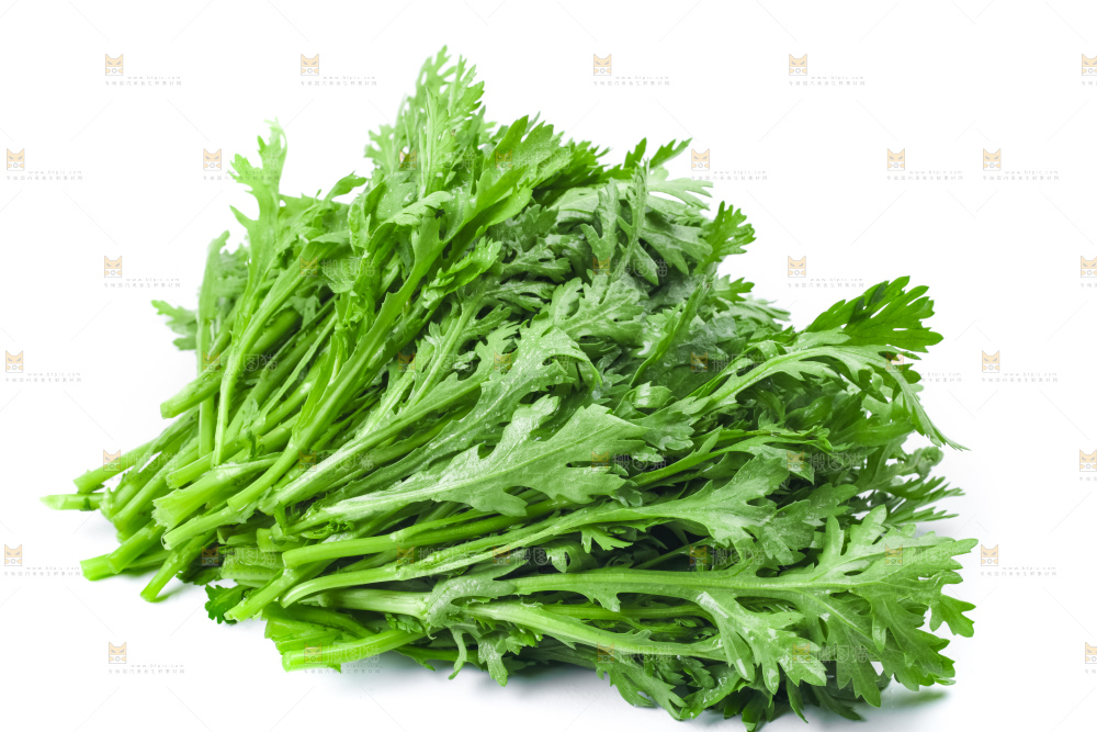 白底上的蓬蒿菜