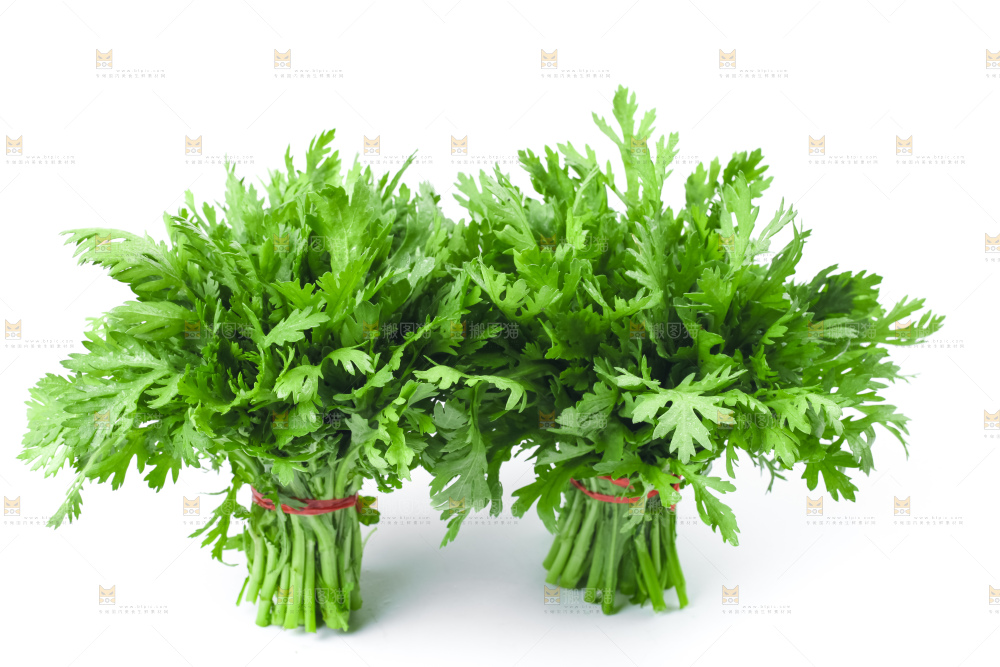 白底上的蓬蒿菜