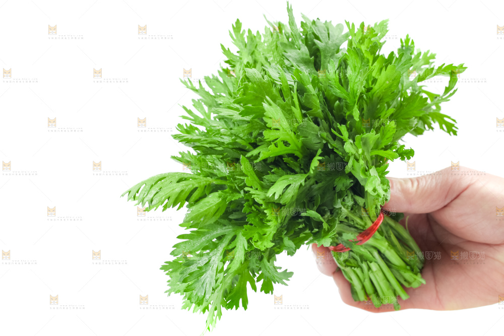 白底上的蓬蒿菜