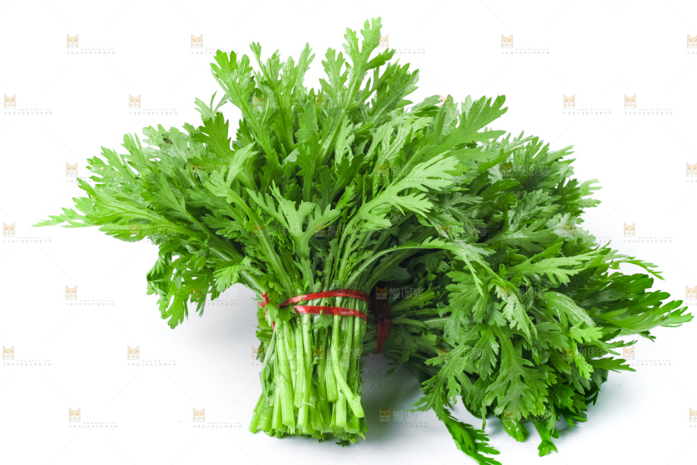 白底上的蓬蒿菜