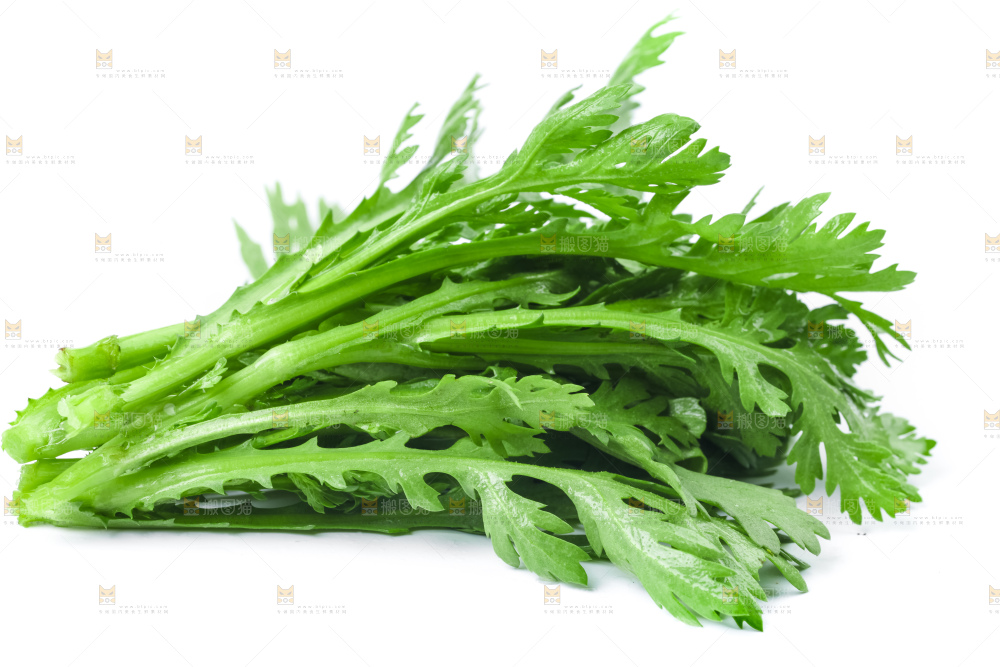 白底上的蓬蒿菜