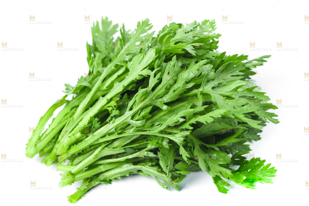 白底上的蓬蒿菜