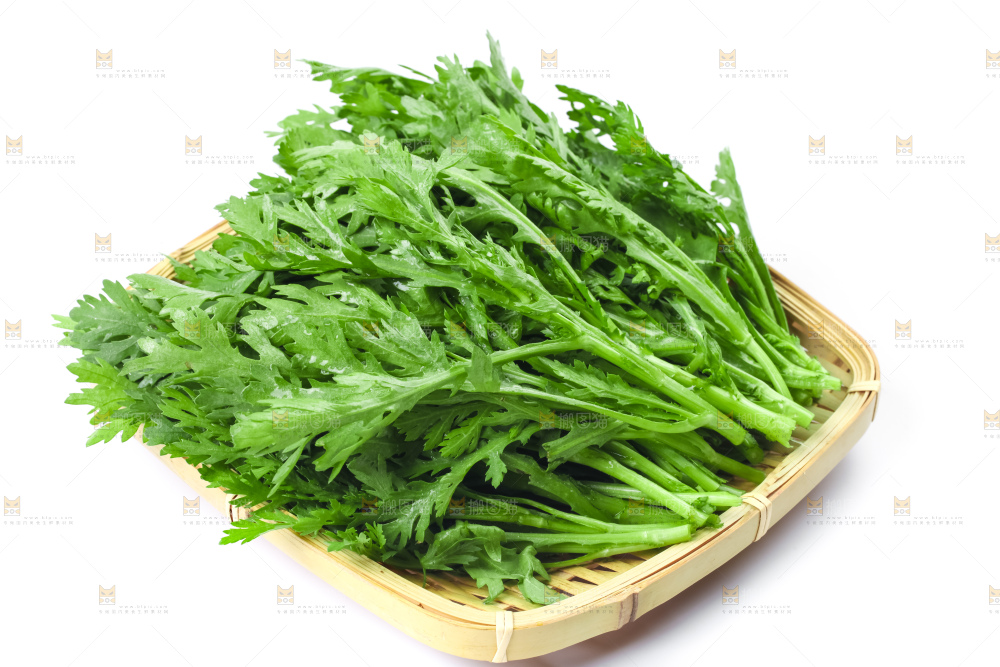 白底上的蓬蒿菜