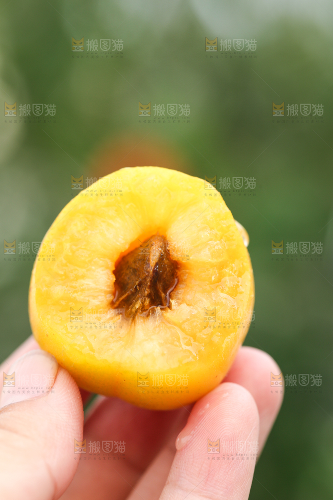 手里拿着杏子