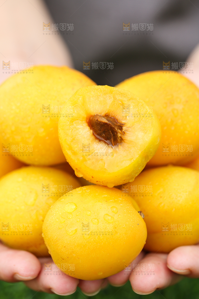 手里捧着山东小白杏