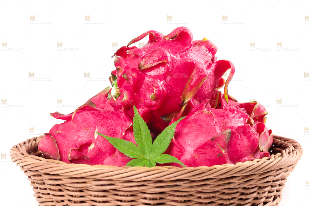 篮子里装着越南红心火龙果