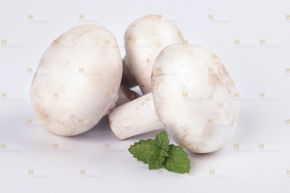 白底上摆放着白菇