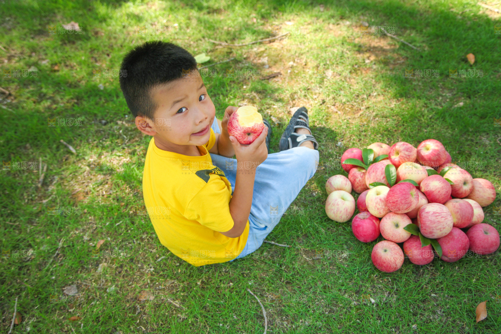 小男孩正在吃苹果