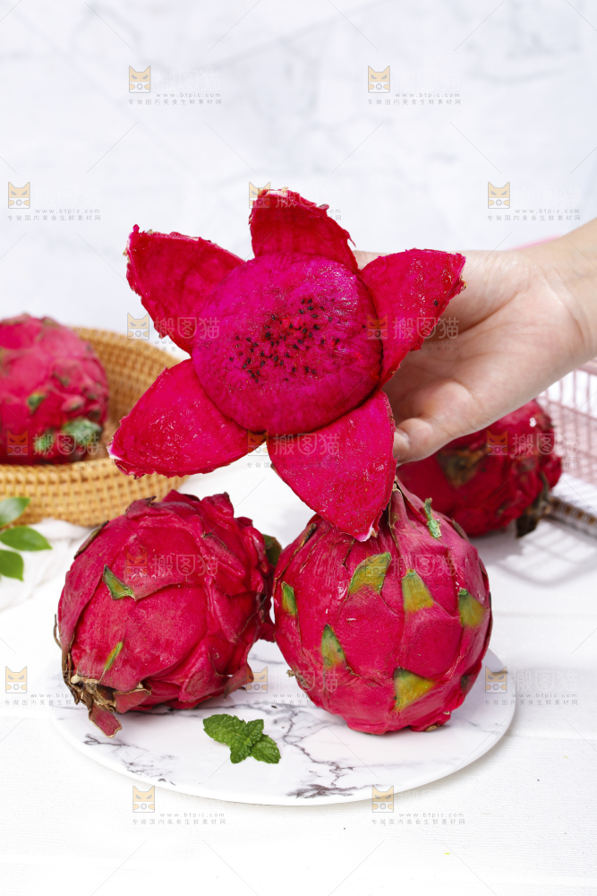 手里拿着红心火龙果