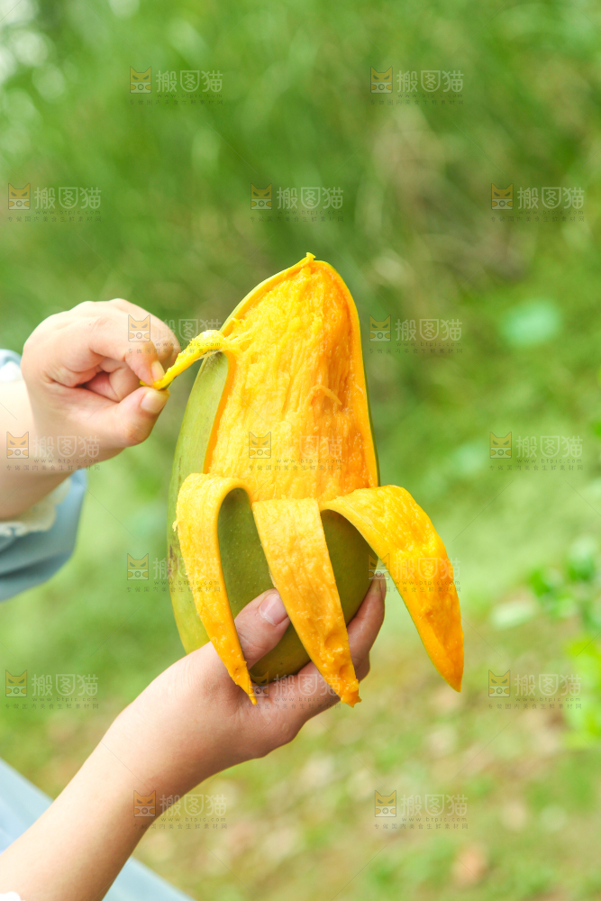 手里拿着正在剥皮的大青芒