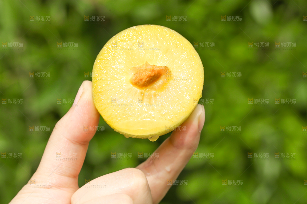 手里拿着蜂糖李子