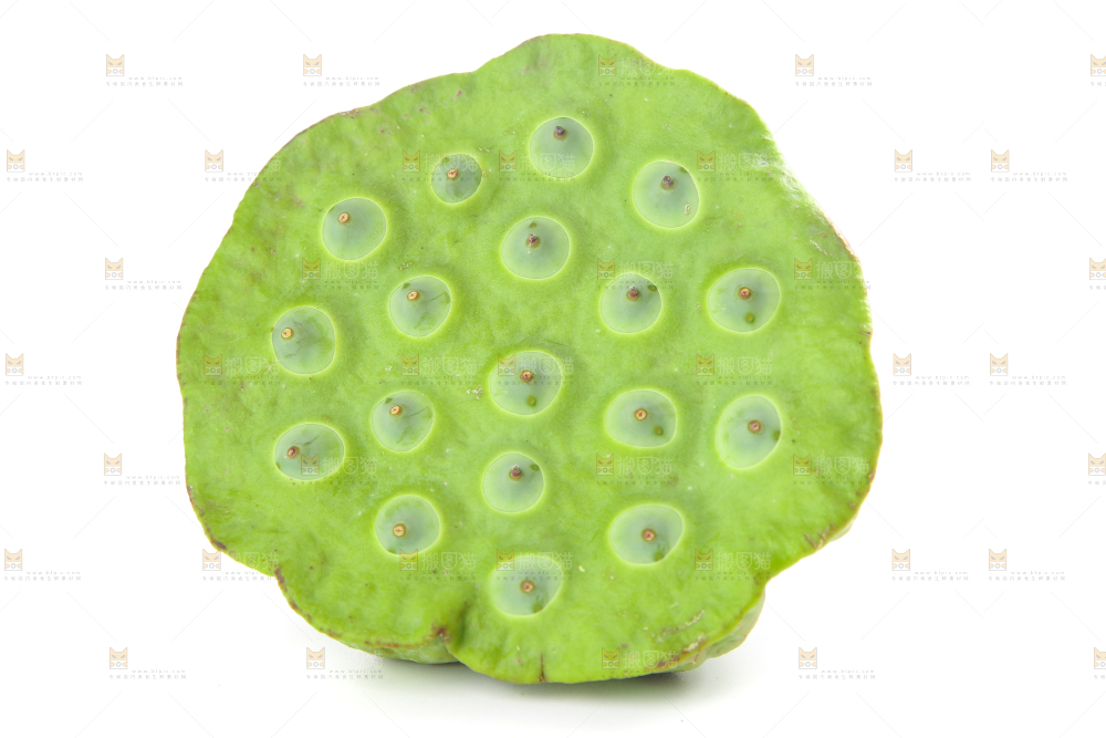 白底上摆放着莲蓬