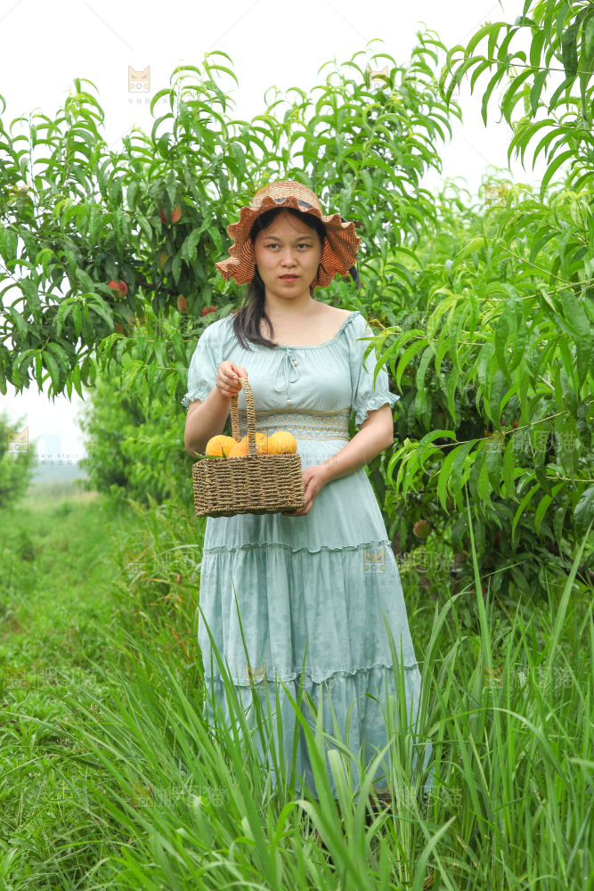 女孩手里提着一篮采摘的黄桃