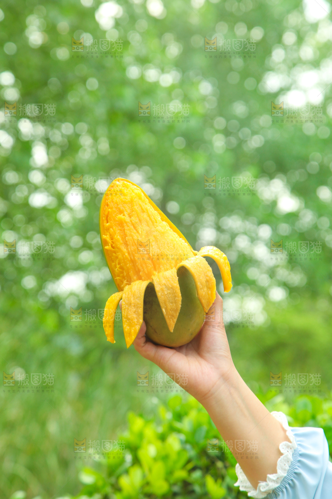 手里拿着正在剥皮的大青芒