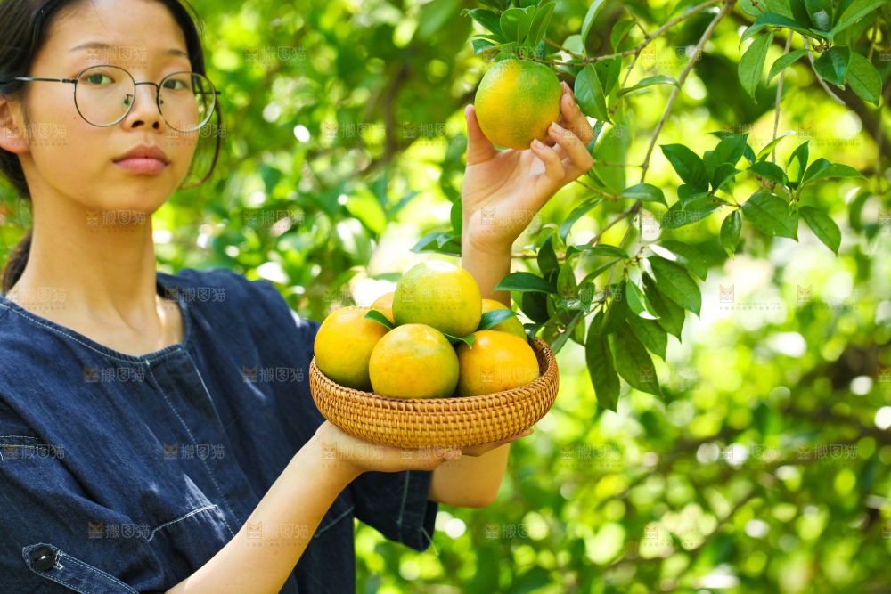 手里拿着一篮新鲜夏橙