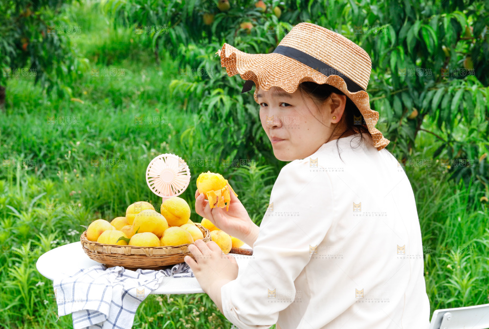 桌子上摆放着黄桃