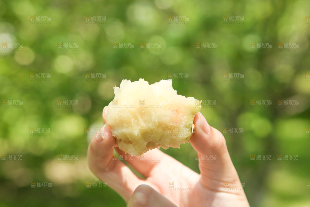 手里拿着新鲜毛桃