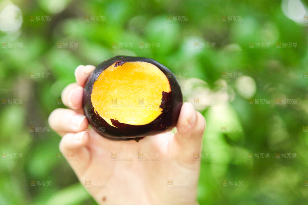 手里拿着黑布林