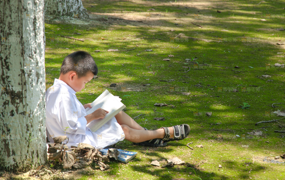 小男孩正在看书