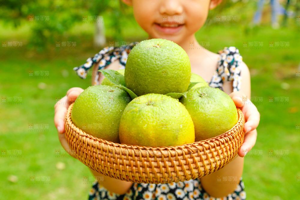 小女孩手里端着一篮夏橙