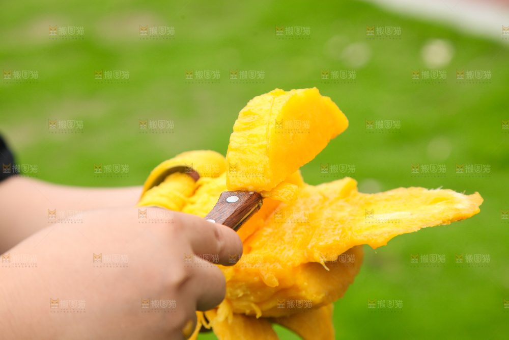 手里拿着青芒果