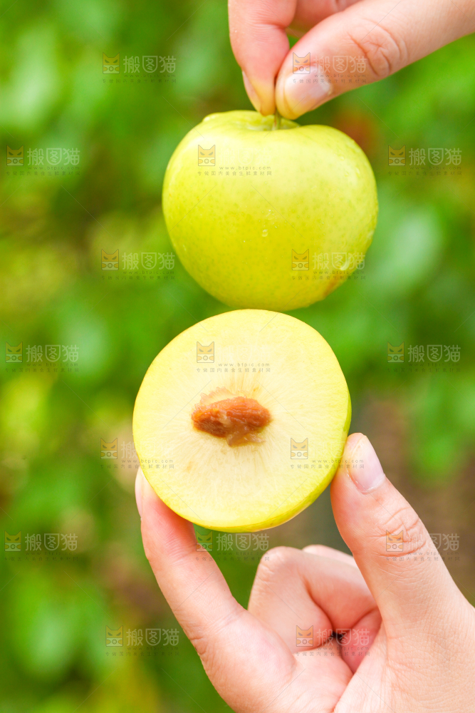 手里拿着蜂糖李子