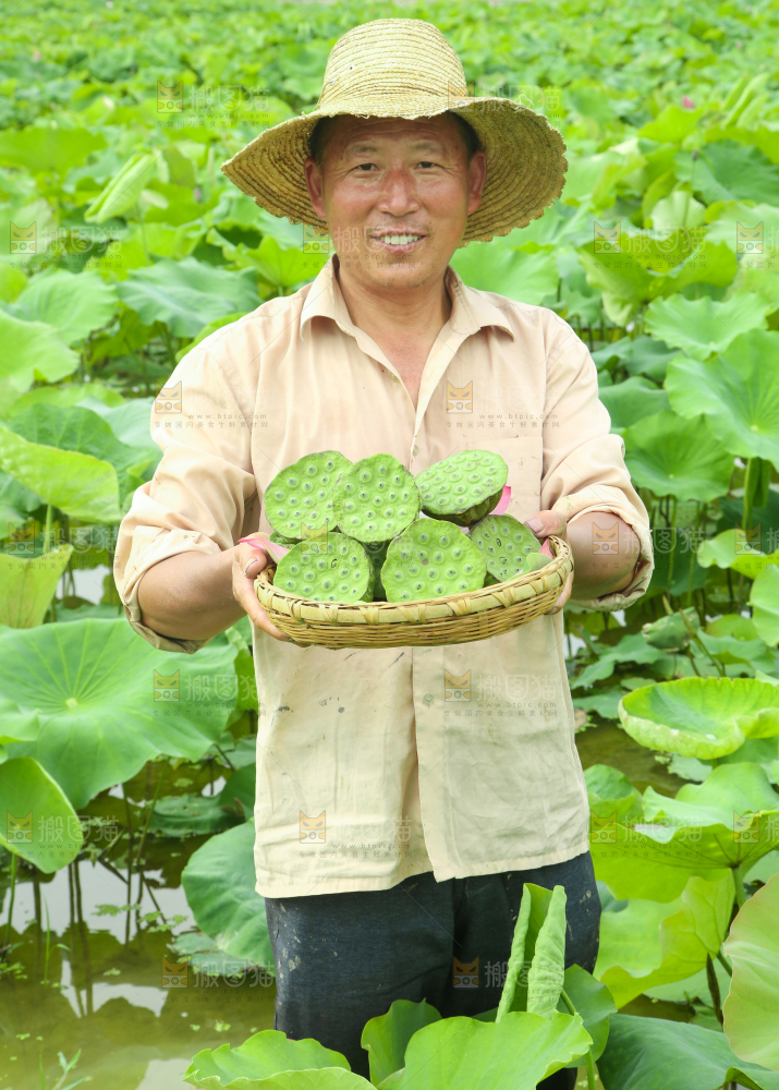 手里端着一篮新鲜莲蓬