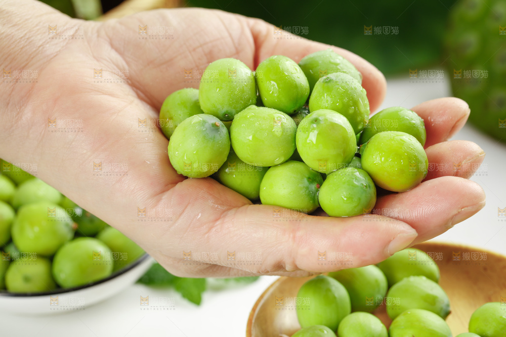 手里拿着新鲜莲子