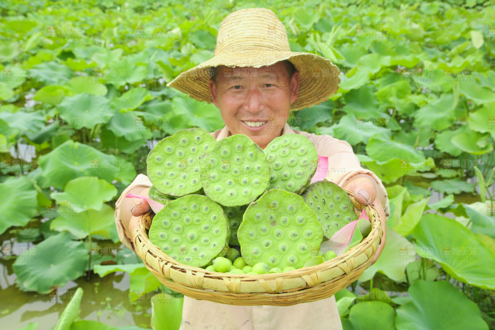 手里端着一篮新鲜莲蓬