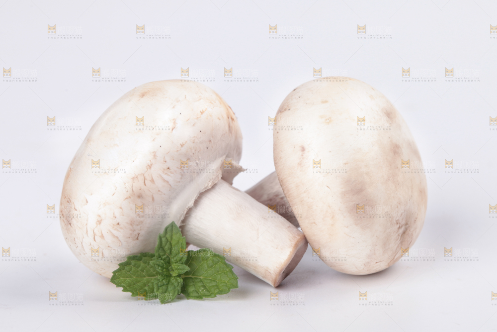 白底上摆放着白菇